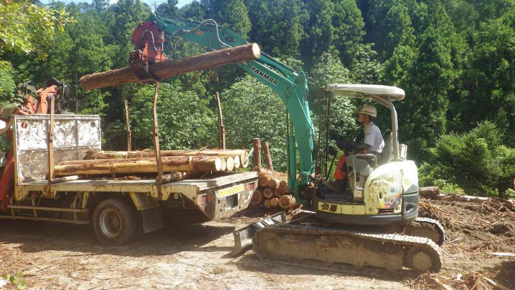 素材生産 トラック積込み