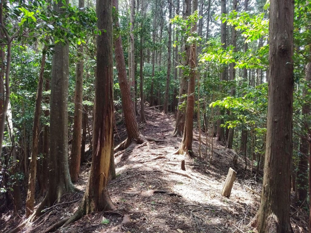 調査 山の風景